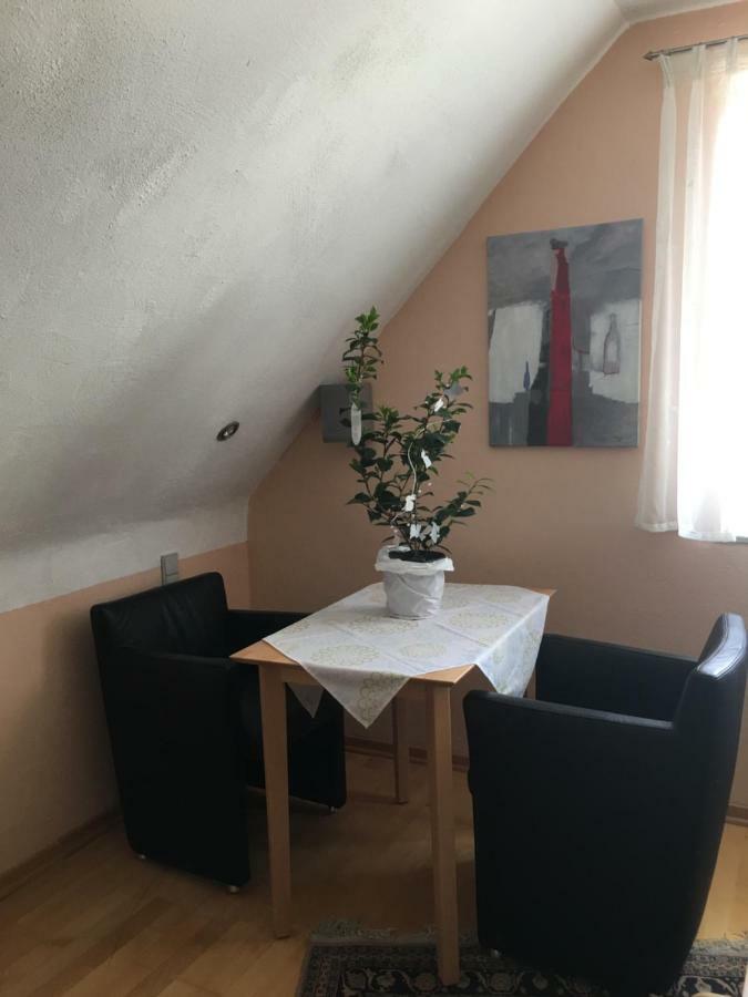 Sonnenappartment In Homburger Solarhaus Homburg  Eksteriør bilde