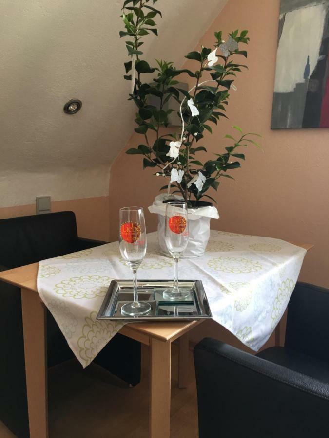 Sonnenappartment In Homburger Solarhaus Homburg  Eksteriør bilde