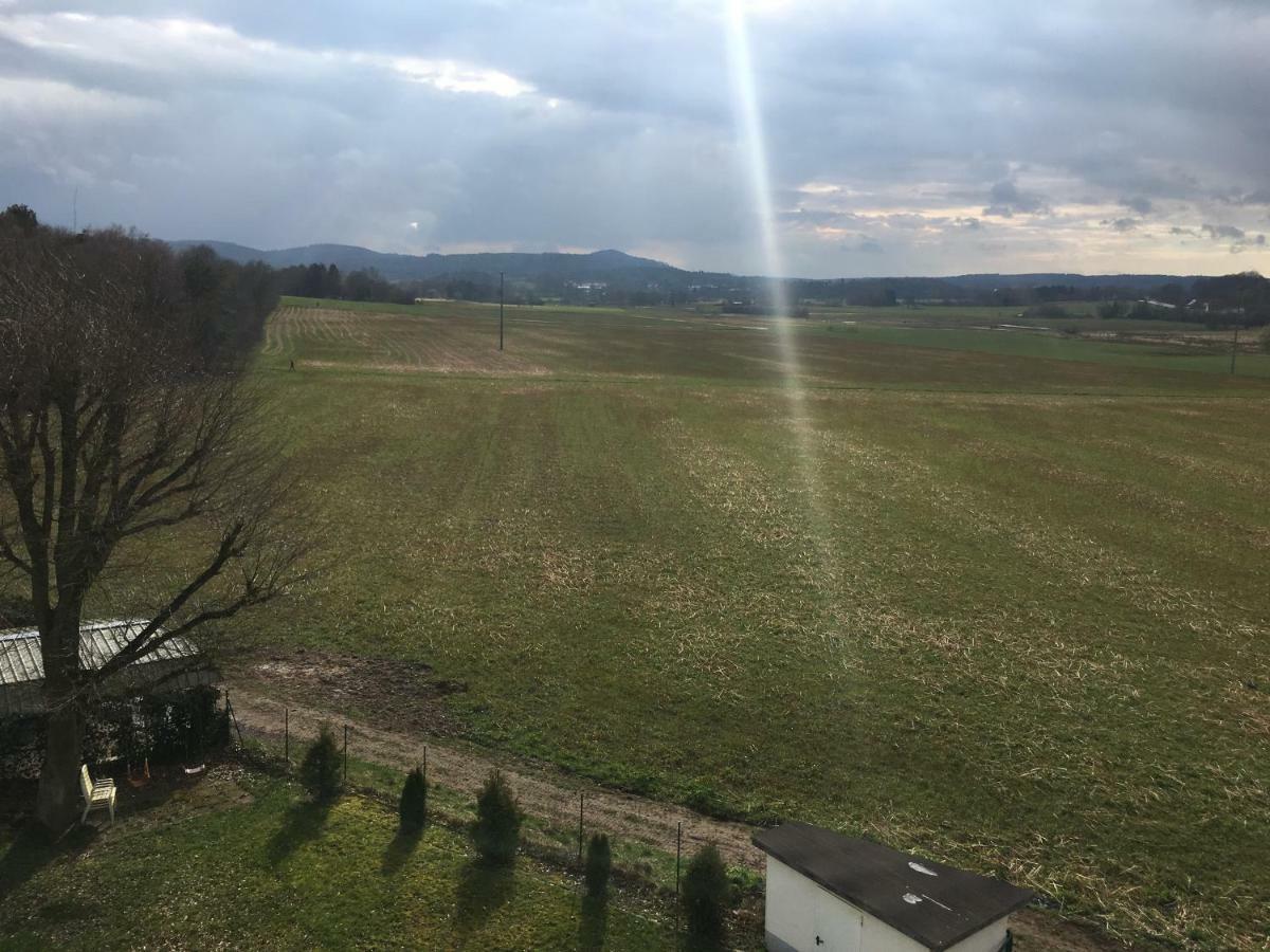 Sonnenappartment In Homburger Solarhaus Homburg  Eksteriør bilde